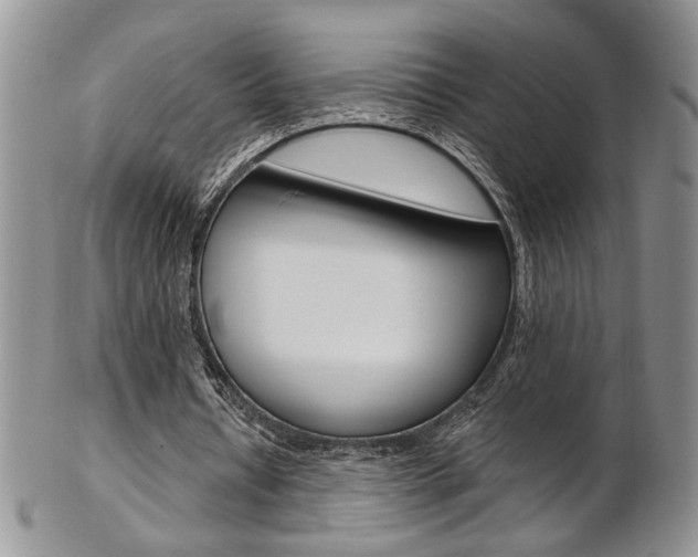 X0000103170434200808221132