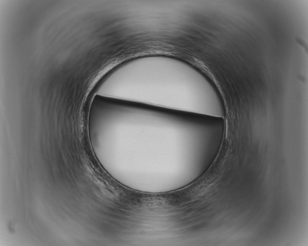 X0000103170435200808221132