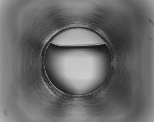 X0000103170436200808221132