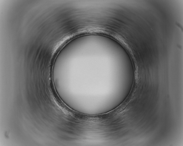 X0000103170438200808221132
