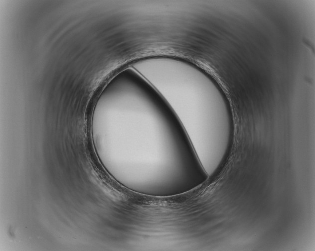 X0000103170439200808221132