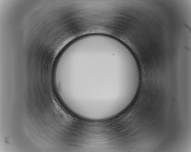 X0000103170440200808221132