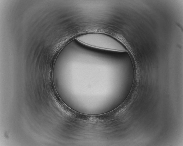 X0000103170441200808221132