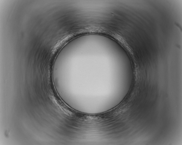 X0000103170442200808221132