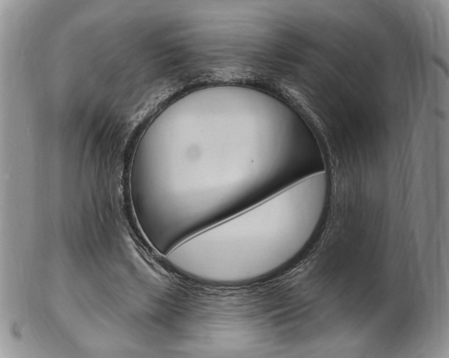 X0000103170443200808221132