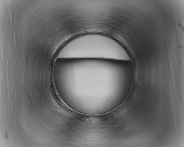 X0000103170444200808221132
