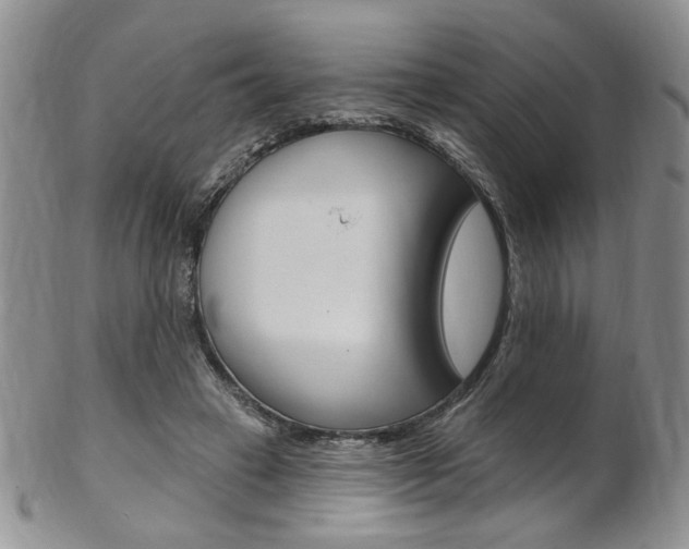 X0000103170449200808221132