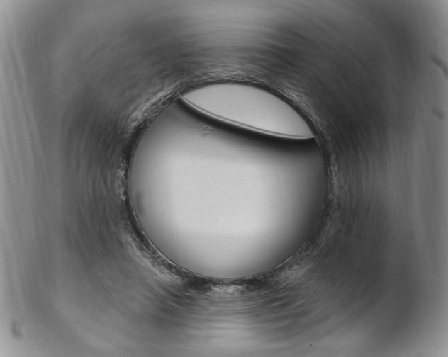 X0000103170450200808221132