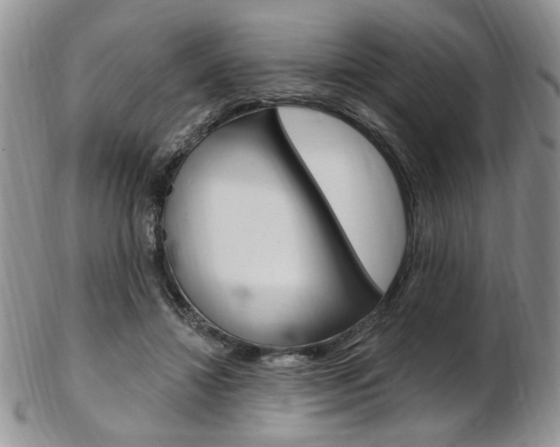 X0000103170452200808221132