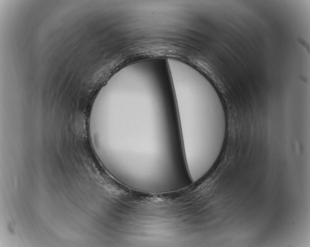 X0000103170453200808221132