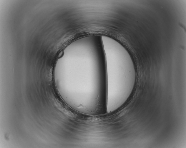 X0000103170454200808221132