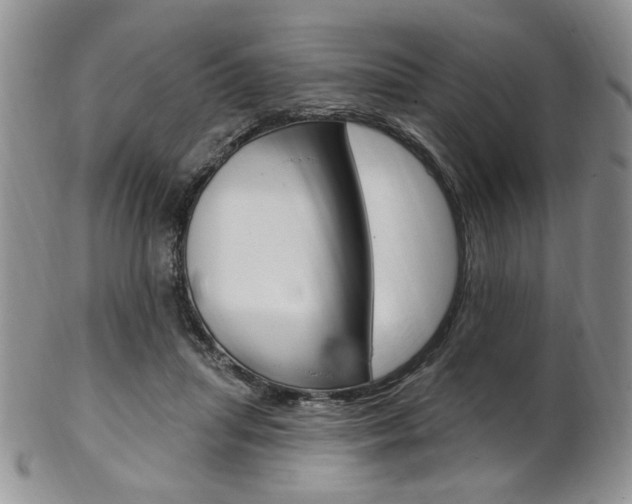X0000103170455200808221132