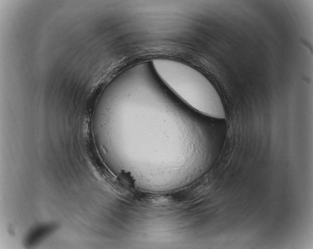 X0000103170456200808221132