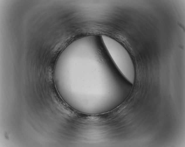 X0000103170457200808221132