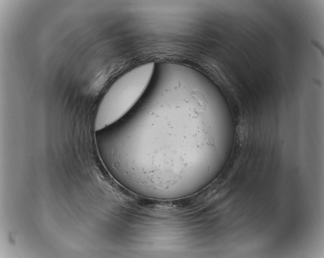 X0000103170458200808221132
