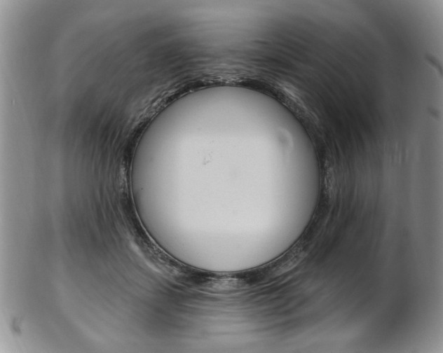 X0000103170459200808221132