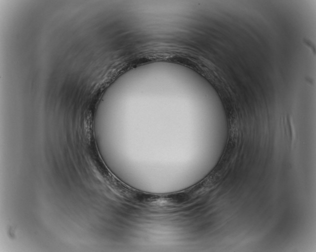 X0000103170460200808221132