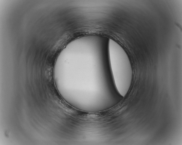X0000103170462200808221132