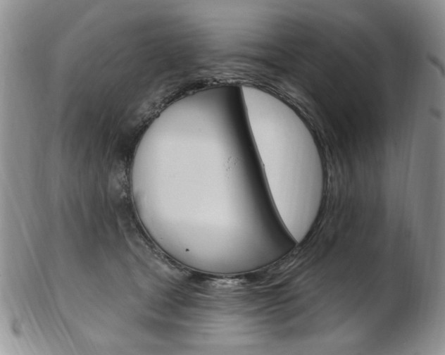 X0000103170465200808221132