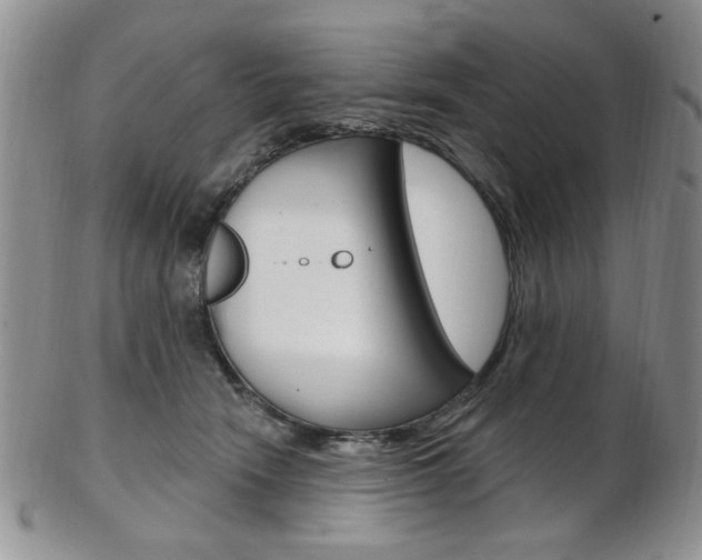 X0000103170466200808221132