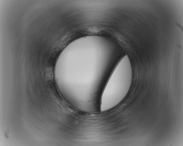 X0000103170467200808221132