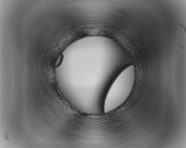 X0000103170469200808221132