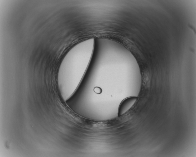 X0000103170470200808221132