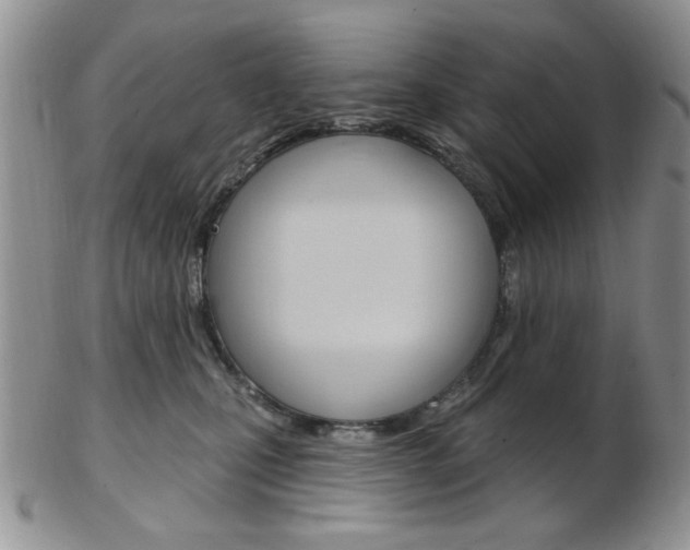 X0000103170471200808221132