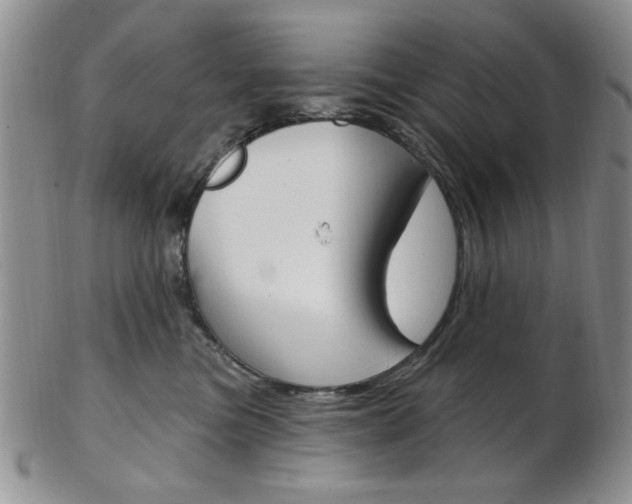 X0000103170473200808221132