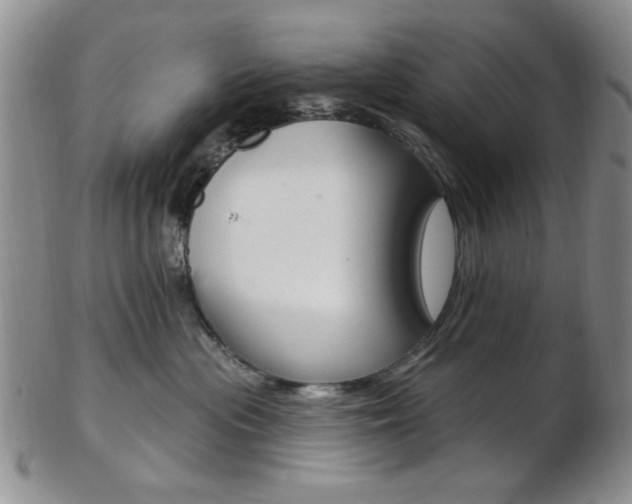 X0000103170477200808221132