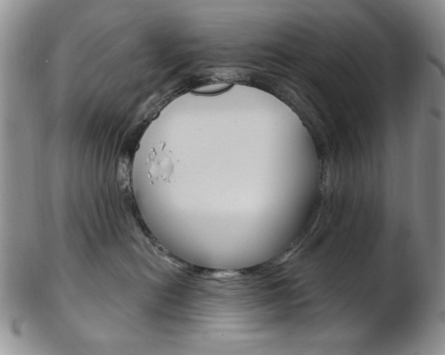 X0000103170478200808221132
