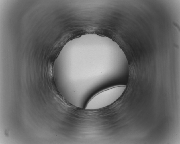 X0000103170479200808221132