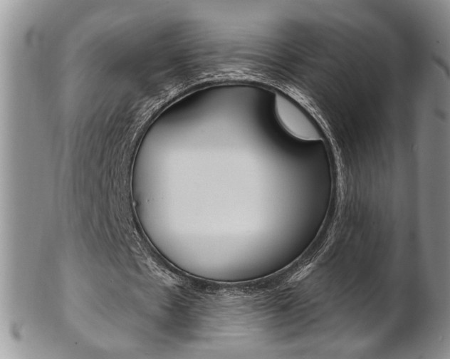 X0000103170481200808221132