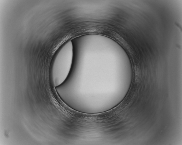 X0000103170482200808221132