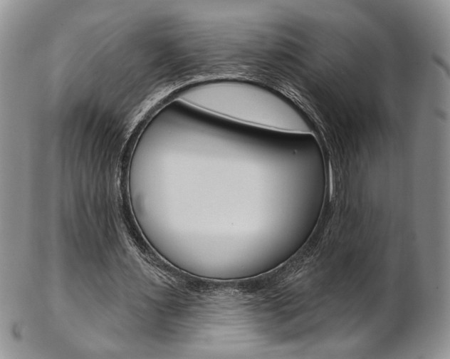 X0000103170483200808221132