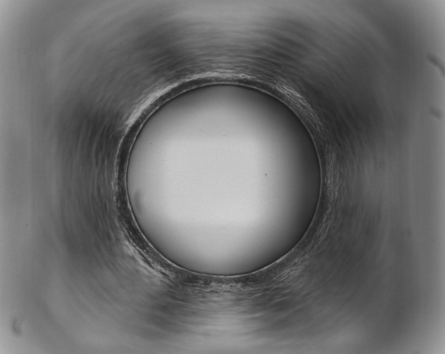 X0000103170484200808221131