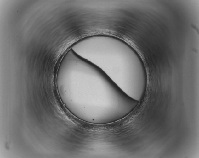 X0000103170485200808221131