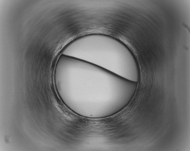 X0000103170486200808221131