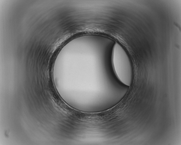 X0000103170488200808221131