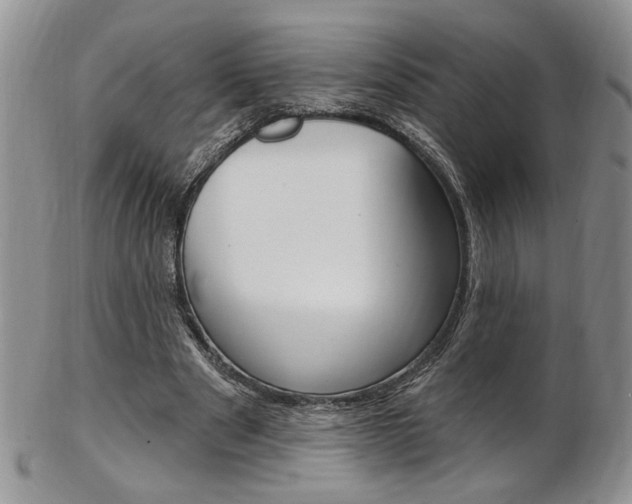 X0000103170489200808221131