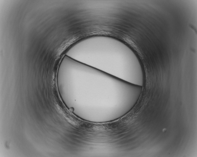 X0000103170490200808221131