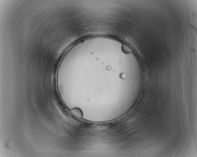 X0000103170491200808221131