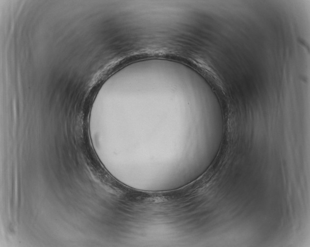 X0000103170492200808221131