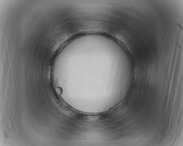 X0000103170495200808221131