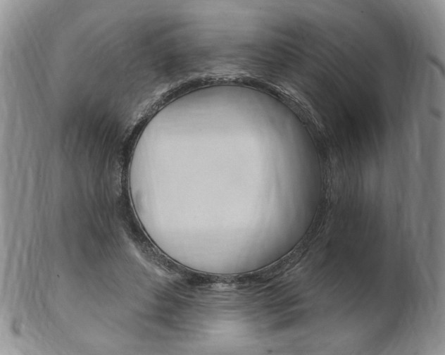 X0000103170496200808221131