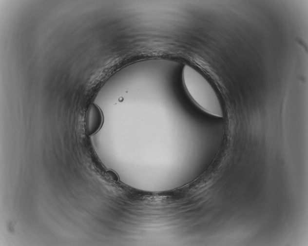 X0000103170497200808221131