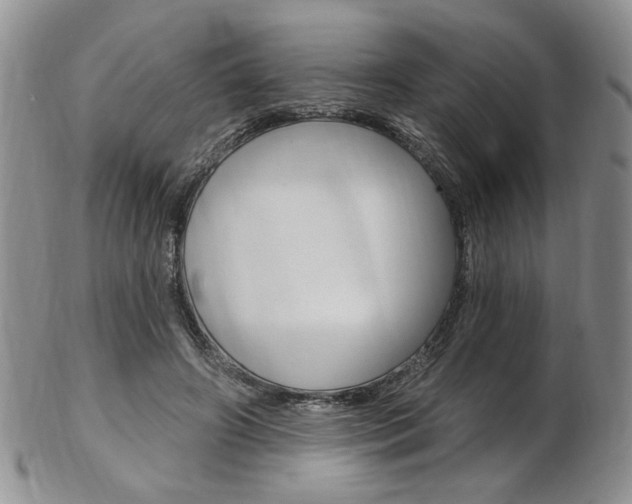 X0000103170498200808221131