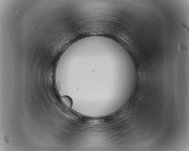 X0000103170499200808221131