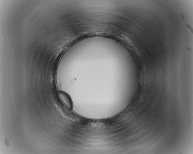 X0000103170500200808221131