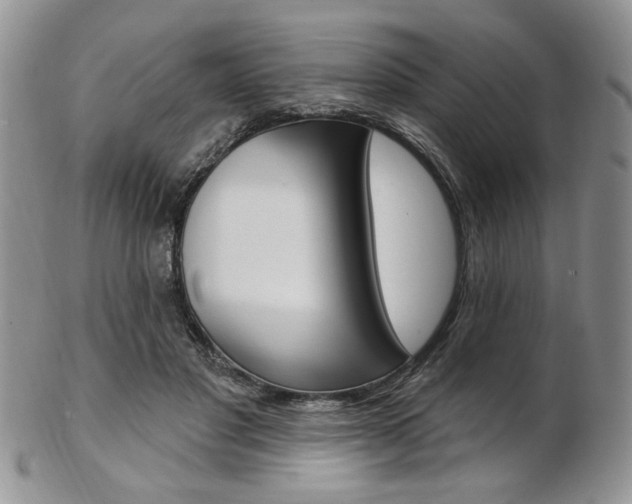 X0000103170501200808221131